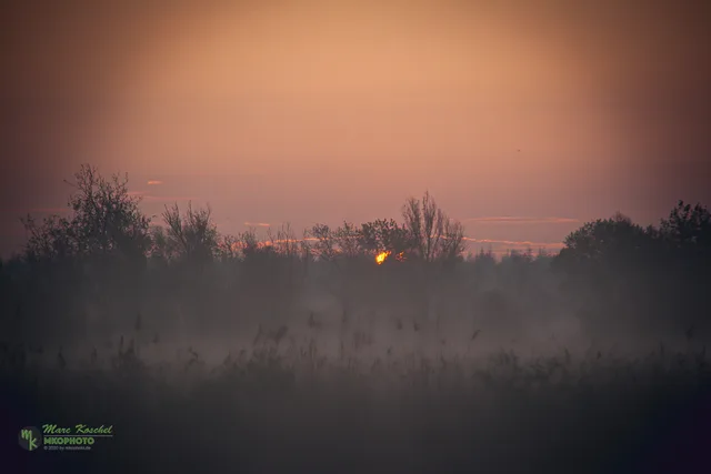 Here comes the sun