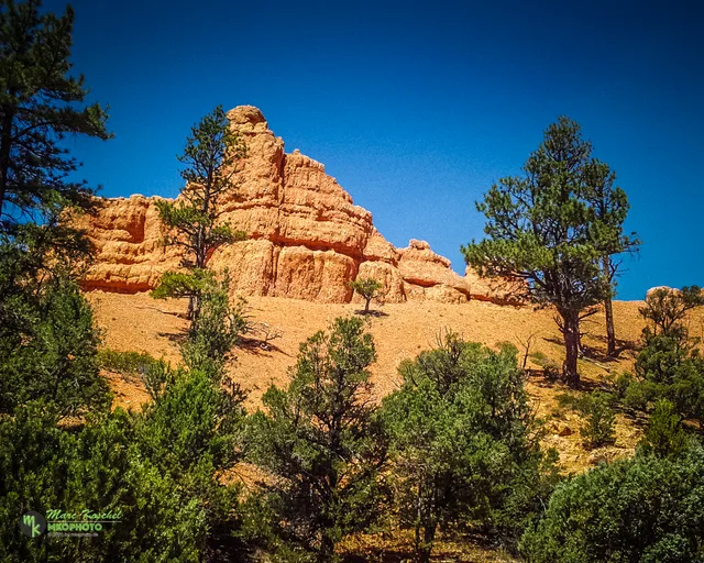 Red Canyon