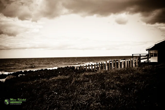 Beach in Denmark
